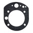 Burner/Mounting Plate & Gaskets - 100,000-130,000 BTU/HR, SP14114
