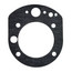 Burner/Mounting Plate & Gaskets - 160,000-199,000 BTU/HR, SP14115
