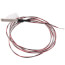 2" PT3000 Probe, Water Resistant (5' Lead)