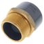 2" CPVC Schedule 80 Transition Male Adapter w/Brass Thread (MPT x Socket)