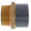 2" CPVC Schedule 80 Transition Male Adapter w/Brass Thread (MPT x Socket)