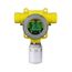 Combustible (CH4) Explosion-Proof Catalytic Bead Transmitter (0-100% LEL), SPXCDULNFXM