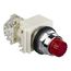 30mm Mounting Hole Dia. Momentary (MO) NC/NO 600VAC Illuminated Incandescent Push-Button Switch, 9001K2L35RH13