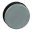 Pushbutton Switch Closing Plate (Gray), 9001K51