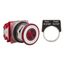 30mm Mounting Hole Dia. Maintained (MA) 2NC 600VAC Push-Button Switch, 9001KR9RH8
