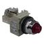 Press-To-Test Indicating Light With Screw Clamp Connector (Red), 9001KT1R31