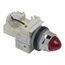 Press-To-Test Indicating Light With Screw Clamp Connector (Red), 9001KT1R31