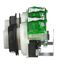 30mm Mounting Hole Dia. Momentary (MO) 600VAC Push-Button Switch Kit With 2 Pushbuttons, 2 Contact Blocks And Guard, 9001SKRU1