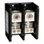 2 Pole Phenolic Power Distribution Block (270A Aluminum, 350A Copper, 600VAC, 2 Primary Connection), 9080LBA263206
