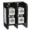2 Pole Phenolic Power Distribution Block (620A Aluminum, 760A Copper, 600VAC, 2 Primary Connection), 9080LBA265208