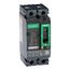 2 Pole Panel Mount Molded Case Circuit Breaker, Thermal Magnetic Trip (50A, 250VDC/600VAC), HDL26050