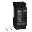 2 Pole Panel Mount Molded Case Circuit Breaker, Thermal Magnetic Trip (50A, 250VDC/600VAC), HDL26050