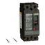 2 Pole Panel Mount Molded Case Circuit Breaker, Thermal Magnetic Trip (60A, 250VDC/600VAC), HDL26060