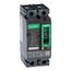 2 Pole Panel Mount Molded Case Circuit Breaker, Thermal Magnetic Trip (100A, 250VDC/600VAC), HDL26100