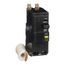 2 Pole Bolt On Miniature Circuit Breaker (50A, 120/240VAC, 10kA), QOB250H