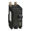 2 Pole Bolt On Miniature Circuit Breaker (70A, 120/240VAC, 10kA), QOB270