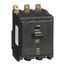 3 Pole Bolt On Miniature Circuit Breaker (10A, 120/240VAC, 10kA), QOB310