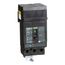 Circuit Breaker Lug Shield, Long, for PowerPact J-Frame, S37450