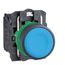 22mm Mounting Hole Dia. Momentary (MO) NO Push-Button Switch, XB5AA61