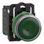 22mm Mounting Hole Dia. Momentary (MO) NC/NO LED Illuminated Push-Button Switch, XB5AW33G5