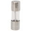 Replacement Fuse - 1 Amp (10 Pack)