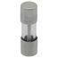 Replacement Fuse - 6 Amp (10 Pack)