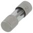 Replacement Fuse - 6 Amp (10 Pack)