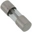 Replacement Fuse - 6 Amp (10 Pack)
