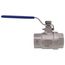 3/4" FPT Stainless Steel Full-Port 2-Piece Ball Valve, 1000 PSI CWP, LF