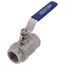 3/4" FPT Stainless Steel Full-Port 2-Piece Ball Valve, 1000 PSI CWP, LF