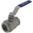 1-1/4" FPT Stainless Steel Full-Port 2-Piece Ball Valve, 1000 PSI CWP, LF