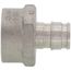 1/2" Expansion PEX x 3/4" Female 304 Stainless Steel Adapter