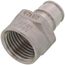 1/2" 304 Stainless Steel Expansion PEX Female Adapter