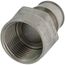 3/4" 304 Stainless Steel Expansion PEX x 3/4" Female Adapter