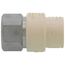 1/2" CPVC x Female Stainless Steel Adapter (Lead Free)