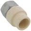 1/2" CPVC x Female Stainless Steel Adapter (Lead Free)