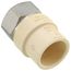 3/4" CPVC x Female Stainless Steel Adapter (Lead Free)