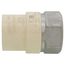 1" CPVC x Female Stainless Steel Adapter (Lead Free)