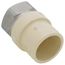1" CPVC x Female Stainless Steel Adapter (Lead Free)