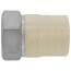 1-1/2" CPVC x Female Stainless Steel Adapter (Lead Free)