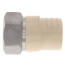 1-1/4" CPVC x Female Stainless Steel Adapter (Lead Free)