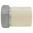 2" CPVC x Female Stainless Steel Adapter (Lead Free)