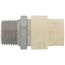 1/2" CPVC x Male Stainless Steel Adapter (Lead Free)