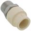 1/2" CPVC x Male Stainless Steel Adapter (Lead Free)