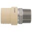 1" CPVC x Male Stainless Steel Adapter (Lead Free)