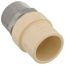 1" CPVC x Male Stainless Steel Adapter (Lead Free)