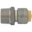 1/2" CTS x 3/4" MNPT 304 Stainless Steel Push-Fit Adapter (Lead Free)