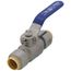 1/2" Stainless Steel Full Port Push Fit Ball Valve, 300 PSI CWP  (Lead Free)