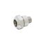 Gooseneck Coupling, 3/8" NPT Male x Female, B-0414