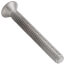 1/4" x 2" Chrome Plated Screw